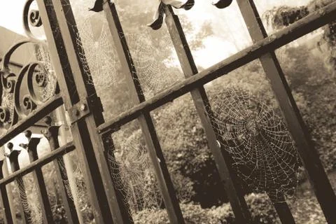 Cobweb gate sepia Stock Photos
