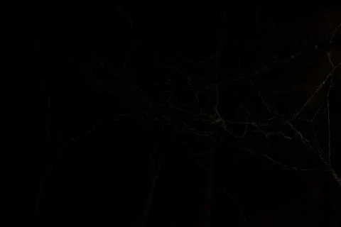 Cobweb in the light of a lantern in a dark, scary, damp room not far from t.. Stock Photos
