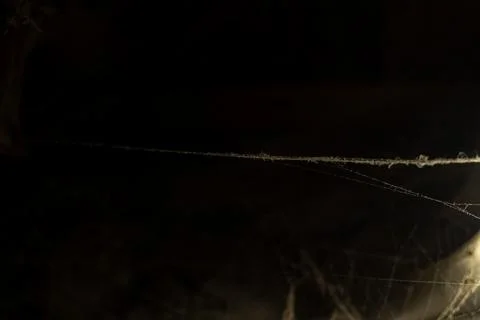 Cobweb in the light of a lantern in a dark, scary, damp room not far from the Stock Photos