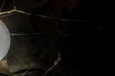 Cobweb in the light of a lantern in a dark, scary, damp room not far from the Stock Photos