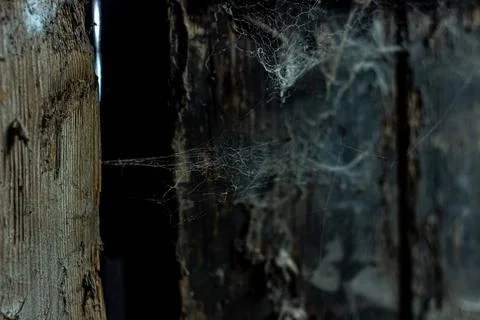 Cobweb in the light of a lantern in a dark, scary, damp room not far from the Stock Photos