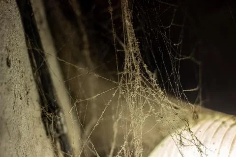 Cobweb in the light of a lantern in a dark, scary, damp room not far from the Stock Photos