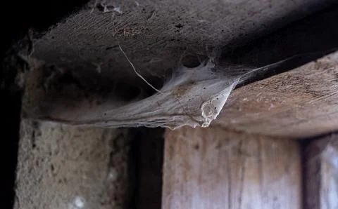Cobweb in the light of a lantern in a dark, scary, damp room not far from the Stock Photos