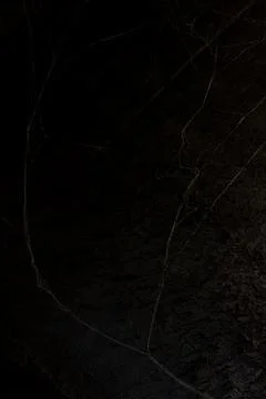Cobweb in the light of a lantern in a dark, scary, damp room not far from the Stock Photos