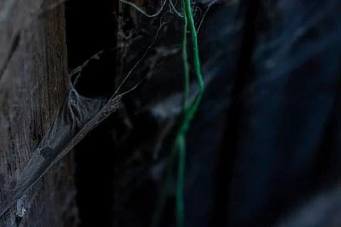 Cobweb in the light of a lantern in a dark, scary, damp room not far from the Stock Photos