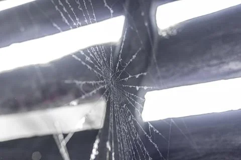 Cobweb in the light of a lantern in a dark, scary, damp room not far from the Stock Photos