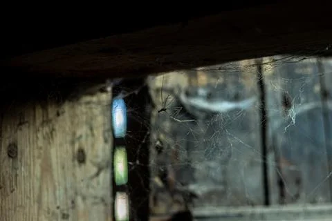 Cobweb in the light of a lantern in a dark, scary, damp room not far from the Stock Photos
