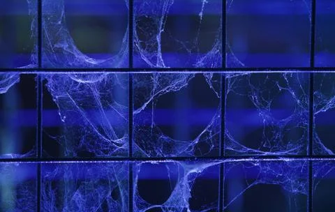 Cobweb on metal grid for horror background Stock Photos