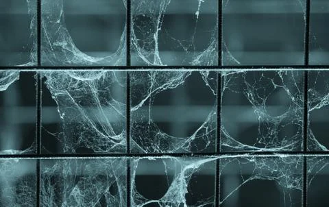 Cobweb on metal grid for horror background Stock Photos