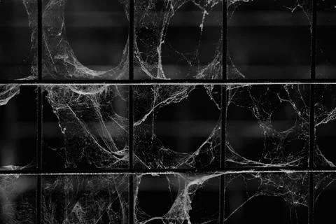 Cobweb on metal grid for horror background Foto stock
