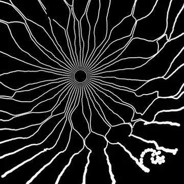 Cobweb. Network background. Connection Structure. Stock Illustration