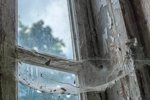 Cobweb on old window Stock Photos