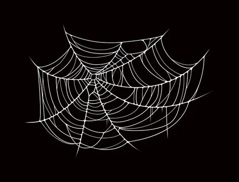 Cobweb or Halloween spiderweb on stretched threads Stock Illustration