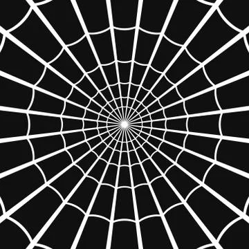 Cobweb or Spider web on Dark Background. Vector Stock Illustration