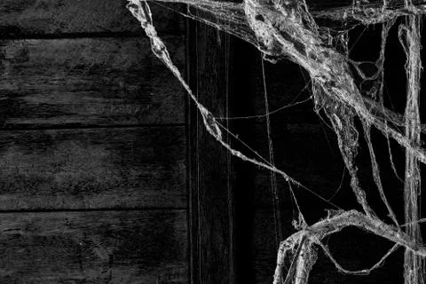 Cobweb or spider web dust on wall background Stock Photos