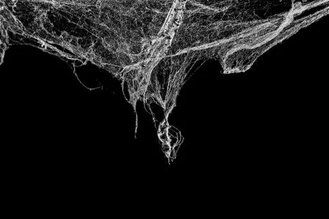 Cobweb or spider web isolated on black background in ancient thai house Fotos Stock