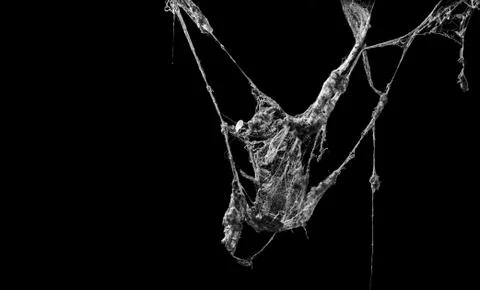 Cobweb or spider web isolated on black background Фото