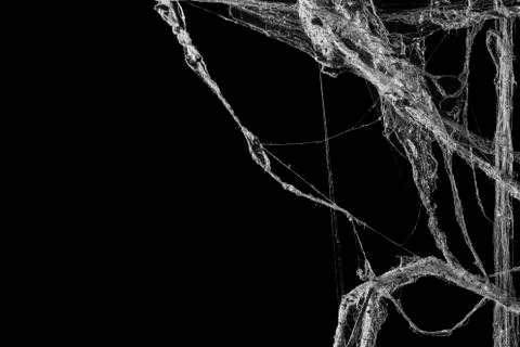 Cobweb or spider web isolated on black background Stock Photos