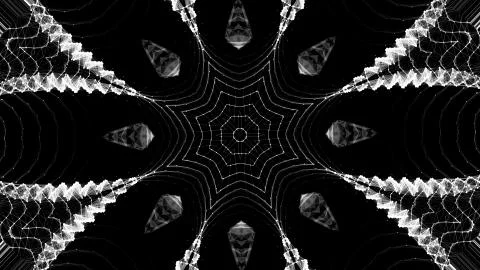 Cobweb or spider web shot in white and black geometric style. Stock Illustration