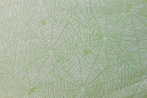 Cobweb pattern Stock Photos