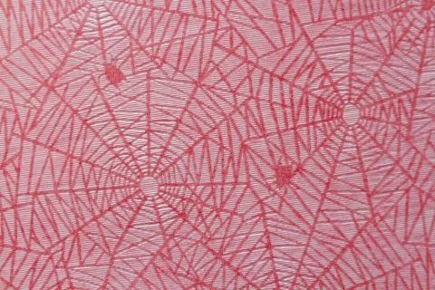 Cobweb pattern Stock Photos