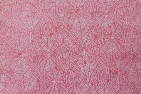 Cobweb pattern Stock Photos