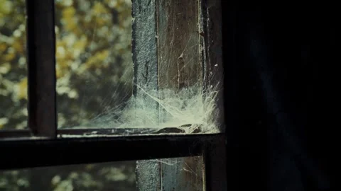 A cobweb in the rusty window sill of a creepy abandoned concrete building. Stock Footage 249891815