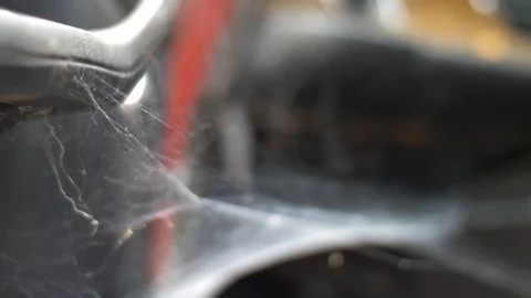 Cobweb sitting inside the doors of an old car. Stock Footage 112564850