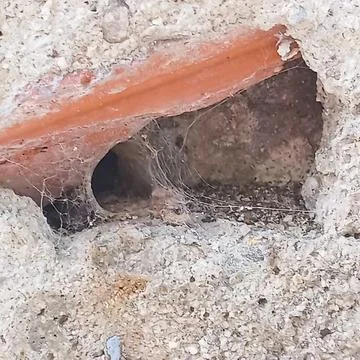 Cobweb in Small Wall Hole Under Old Plaster Surface Fotos de archivo