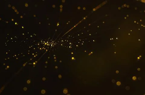 Cobweb as space Stock Photos