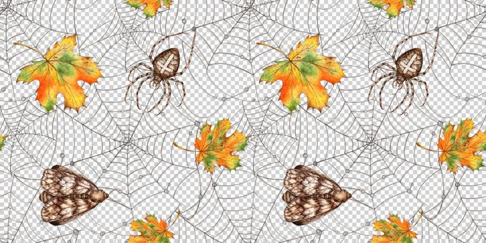 Cobweb spider butterfly maple leaf pattern watercolor Stockillustratie