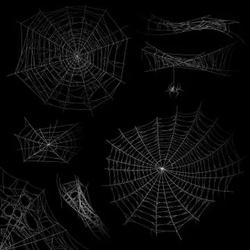 Cobweb. Spider web halloween decor elements, gossamer trap. Spooky fearful and 스톡 일러스트