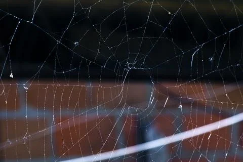 Cobweb Spider web in the yard Stock Photos