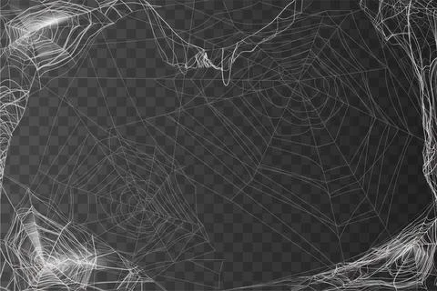 Cobweb on transparent background, hanging spider web frame overlay effect Illustrazione stock