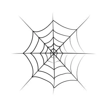 Cobweb on a white background. Stock Illustration