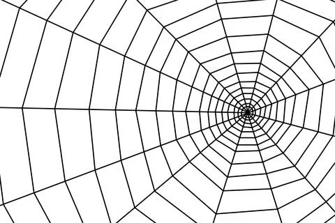 Cobweb on white background. Vector background with cobweb Stock Illustration