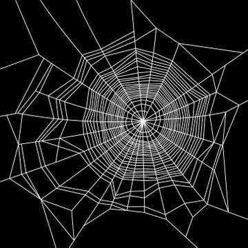 Cobweb. White on Black Background. Vector Illustration