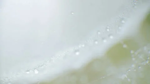 A cobweb on the wind in drops Stock-Footage 98836689