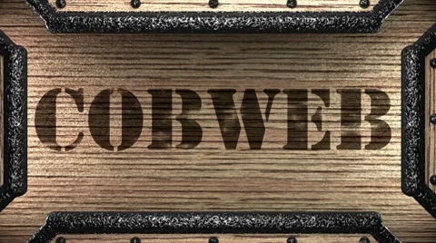 Cobweb on wooden stamp 스톡 동영상 8646603