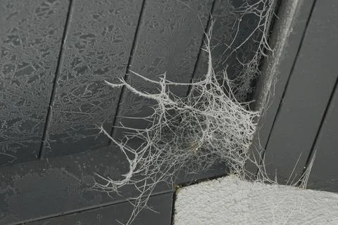 Cobwebs and Dust in Ceiling Corner  Poor Home Maintenance Stock Photos