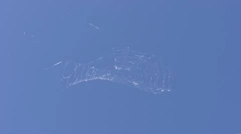 Cobwebs on a blue sky background Stock Photos