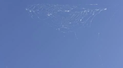 Cobwebs on a blue sky background Stock Photos