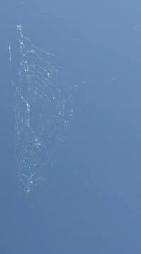 Cobwebs on a blue sky background Stock Photos