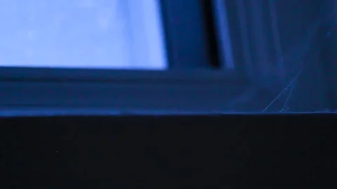 Cobwebs on an Eerie Window Stock Footage 217397158