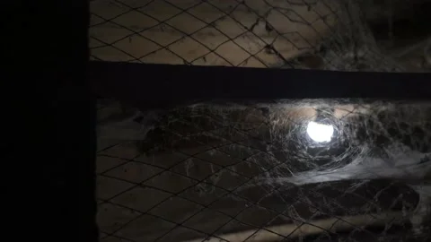 Cobwebs, lots of cobwebs in the room in front of a light bulb, scary atmosphere Stock Footage 220488653