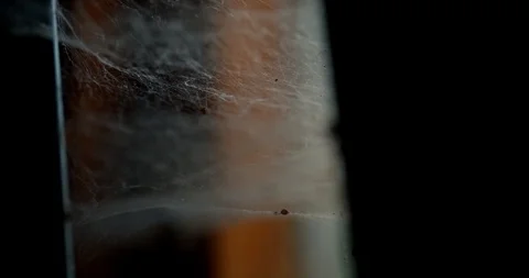 Cobwebs moving in the breeze in shadows Stock Footage 113152644