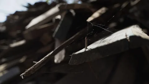 Cobwebs on old timber plank with nails. Stock Footage 307478750