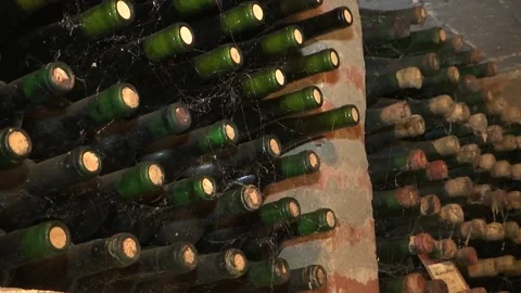 Cobwebs on old wine bottles Stock Footage 172240579