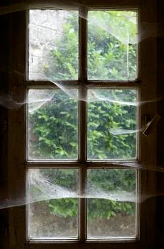 Cobwebs Stock Photos