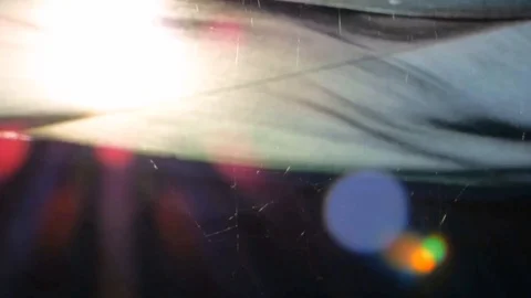 Cobwebs in the spider web sun Stock Footage 93440193